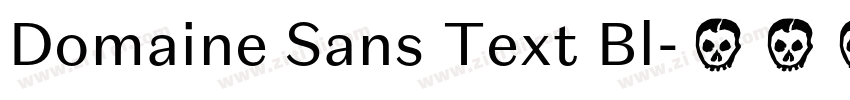 Domaine Sans Text Bl字体转换